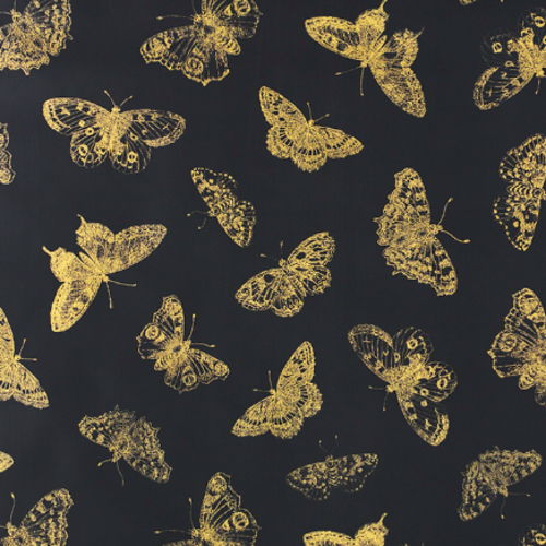 Burnell Butterfly, Black - Wallpaper Roll